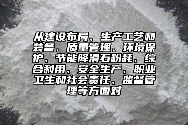 從建設布局、生產工藝和裝備、質量管理、環境保護、節能降滑石粉耗、綜合利用、安全生產、職業衛生和社會責任、監督管理等方面對