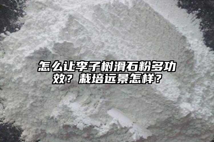 怎么讓李子樹滑石粉多功效？栽培遠景怎樣？