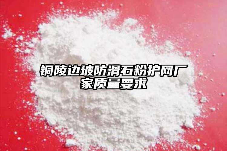 銅陵邊坡防滑石粉護網廠家質量要求