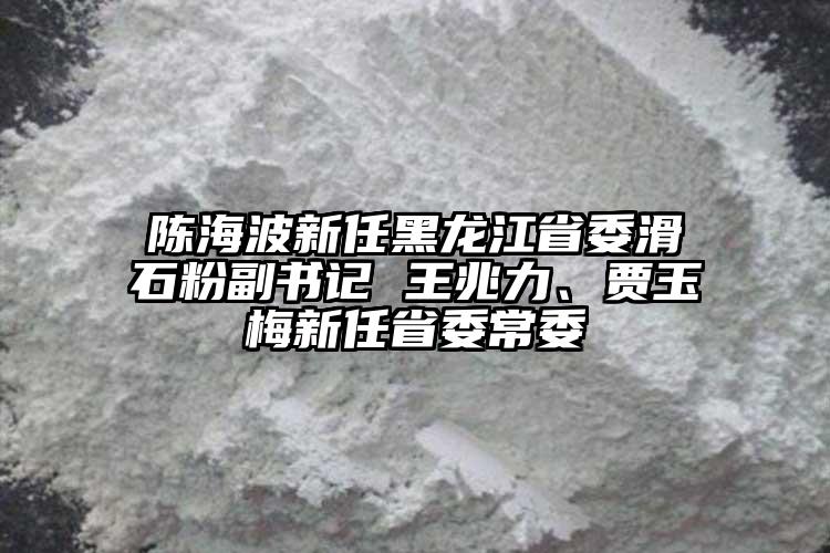 陳海波新任黑龍江省委滑石粉副書記 王兆力、賈玉梅新任省委常委