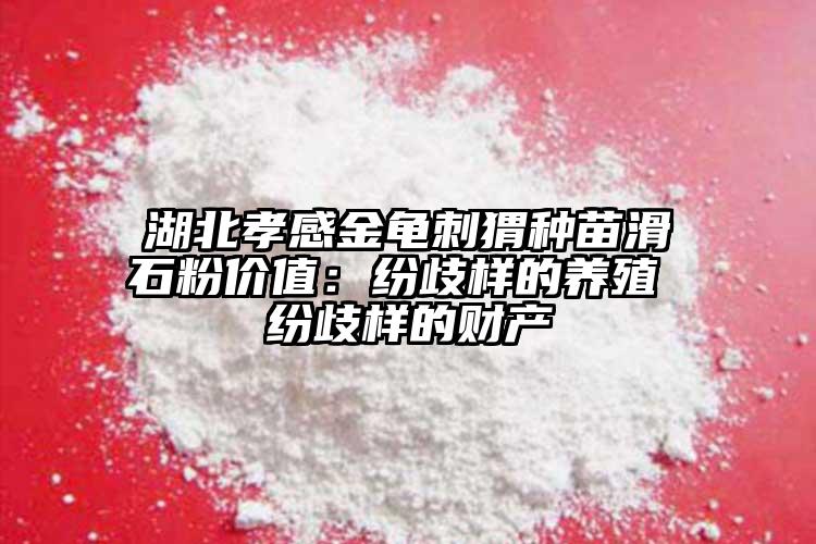 湖北孝感金龜刺猬種苗滑石粉價值：紛歧樣的養殖 紛歧樣的財產