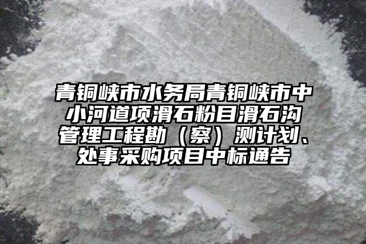 青銅峽市水務局青銅峽市中小河道項滑石粉目滑石溝管理工程勘（察）測計劃、處事采購項目中標通告